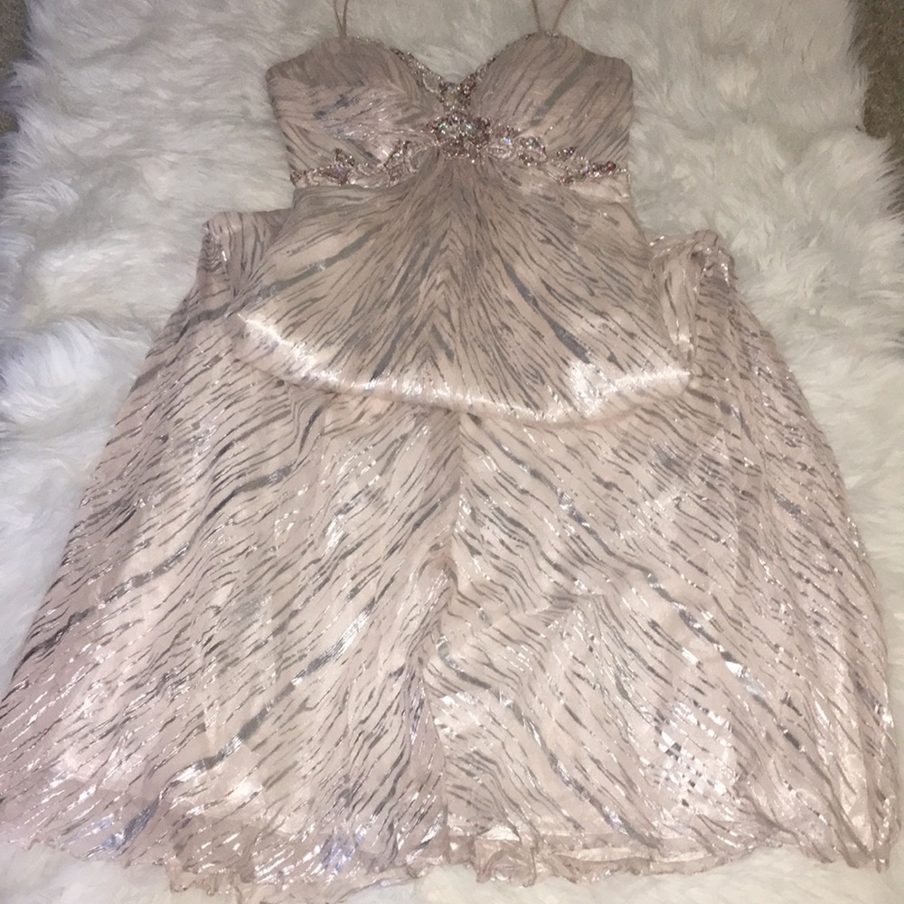 Formal elegant blush and metallic dress size 6
